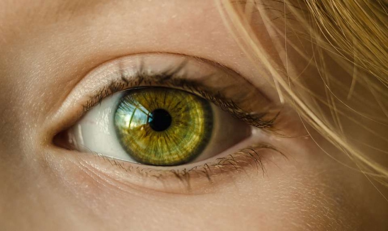 家长助教保护眼睛方法包括哪些视力保健工作切不可忽视